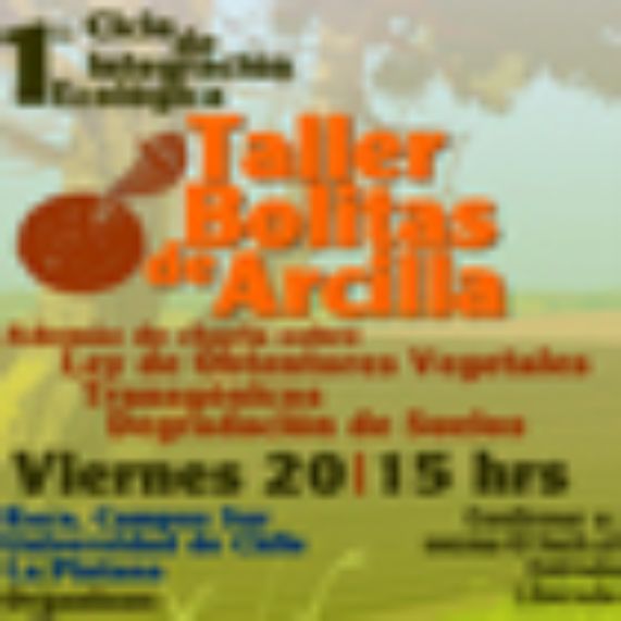 Taller Bolitas de Arcilla