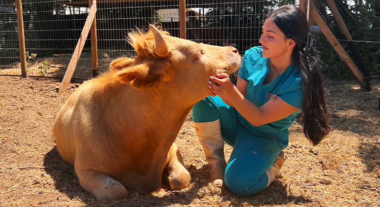 Asiste al Favet Open Day 2026