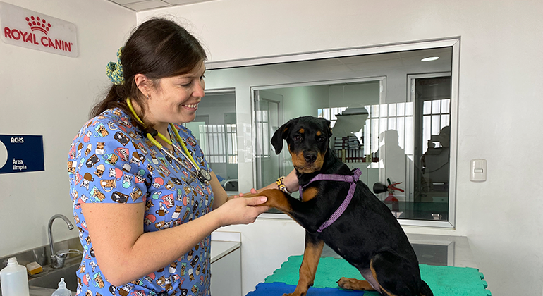 Red de Atención Veterinaria de Favet