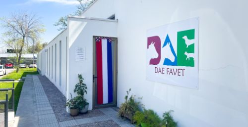 Dirección de Asuntos Estudiantiles y Comunitarios