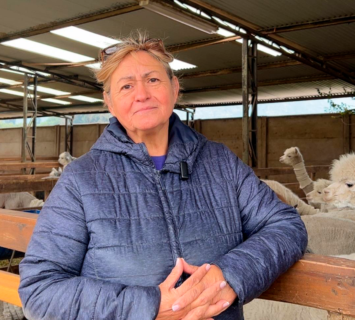 María Herlinda de la Garza, criadora de alpacas y dueña del criadero Quintessence.