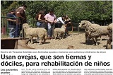 En Mundo Granja: Usan Ovejas Para Rehabilitación De Niños - Facultad De ...